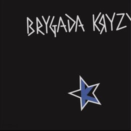 Brygada Kryzys (LP, czarny winyl)