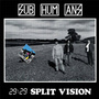 29:29 Split Vision