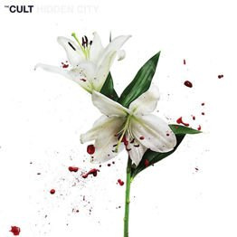 Hidden City (2 LP, czarny winyl)