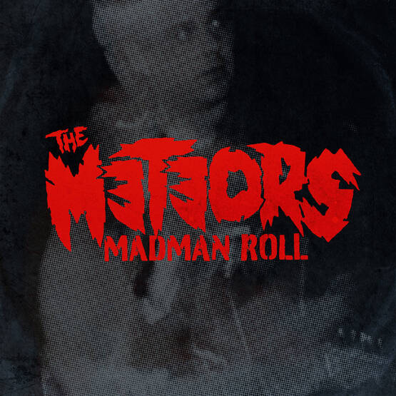 Madman Roll (LP, czarny winyl)