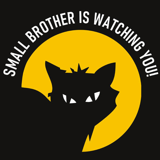 Small Brother Is Watching You (czarna - męska)